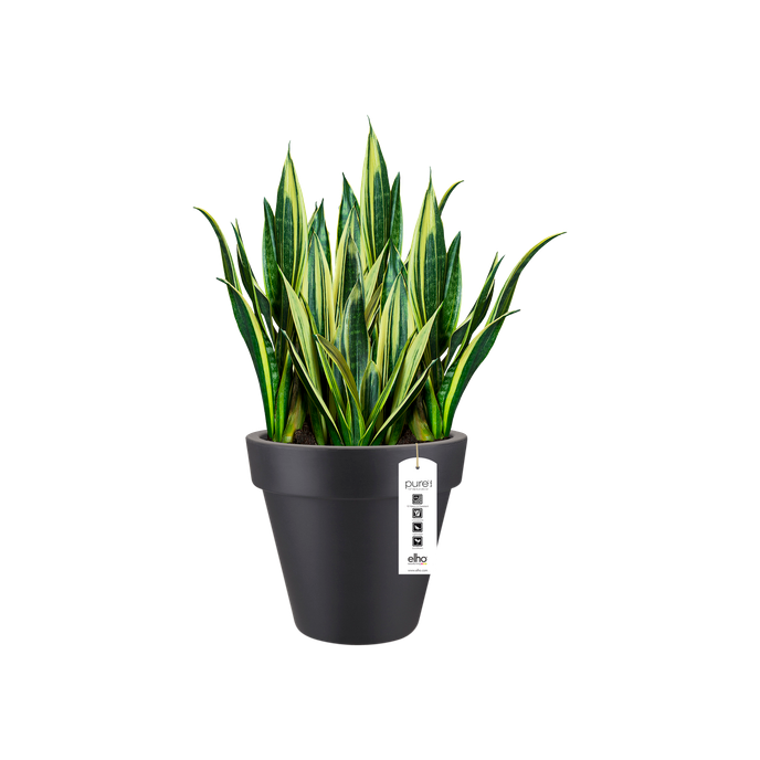 pure round 40cm antraciet